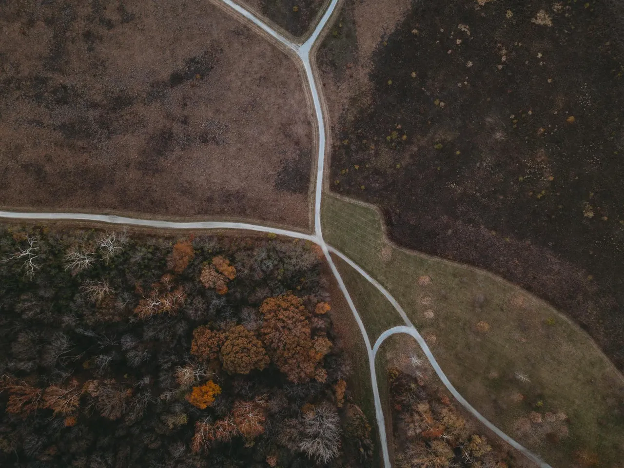 Aerial shot showcasing intersecting pathways through an autumn landscape with bare trees and grassy fields.