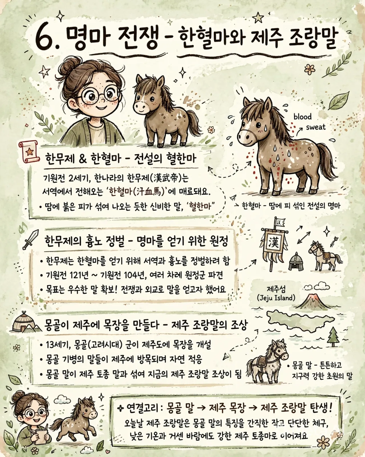 hanblood_jeju_pony_infographic