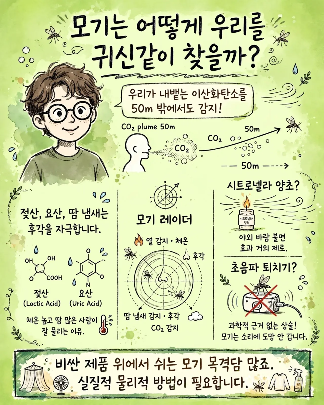 mosquito_infographic_korean